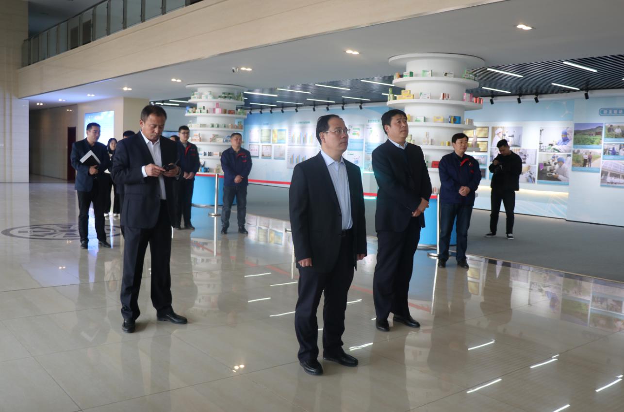 縣委書記鄭戲元前來公司檢查指導工作